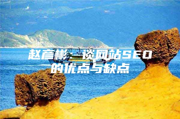 赵彦彬：谈网站SEO的优点与缺点