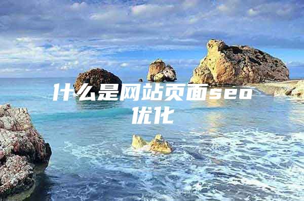 什么是网站页面seo优化