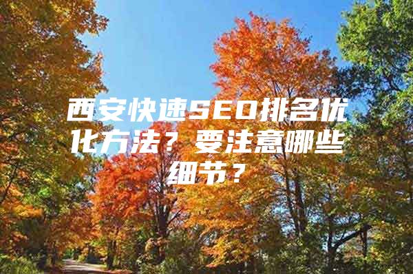 西安快速SEO排名优化方法？要注意哪些细节？