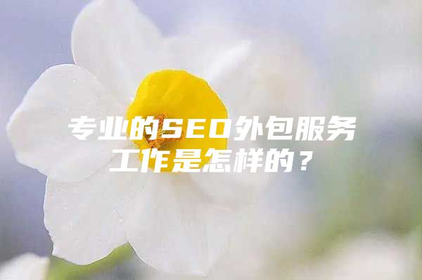 专业的SEO外包服务工作是怎样的？
