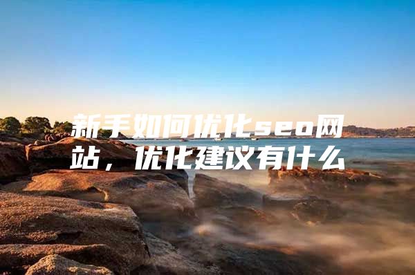 新手如何优化seo网站，优化建议有什么