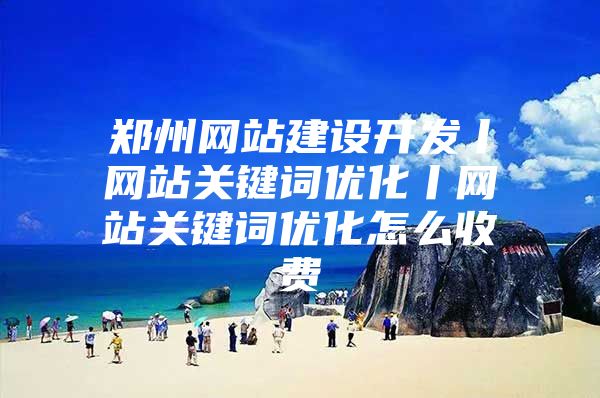 郑州网站建设开发丨网站关键词优化丨网站关键词优化怎么收费