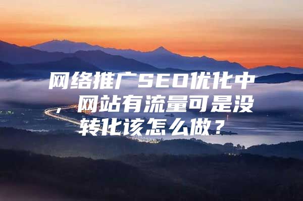 网络推广SEO优化中，网站有流量可是没转化该怎么做？