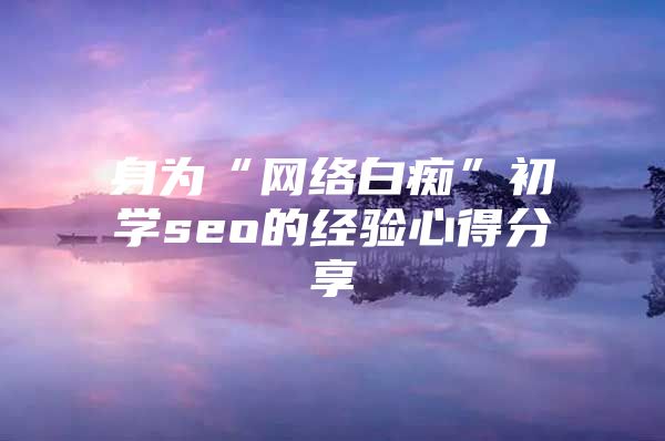 身为“网络白痴”初学seo的经验心得分享