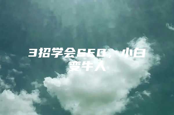 3招学会SEO，小白变牛人