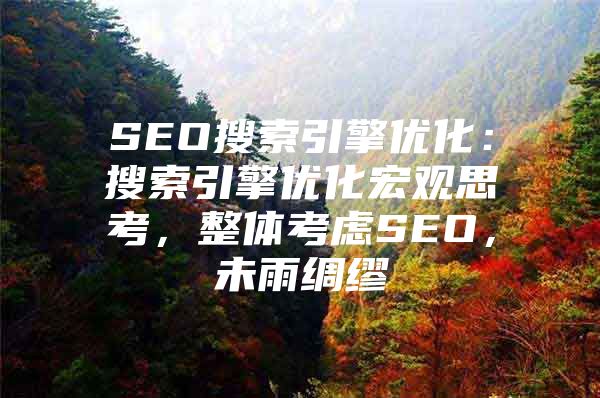 SEO搜索引擎优化：搜索引擎优化宏观思考，整体考虑SEO，未雨绸缪