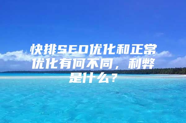 快排SEO优化和正常优化有何不同，利弊是什么？