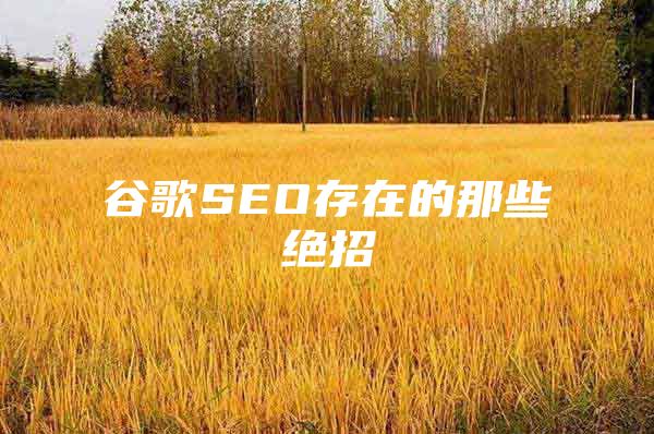 谷歌SEO存在的那些绝招