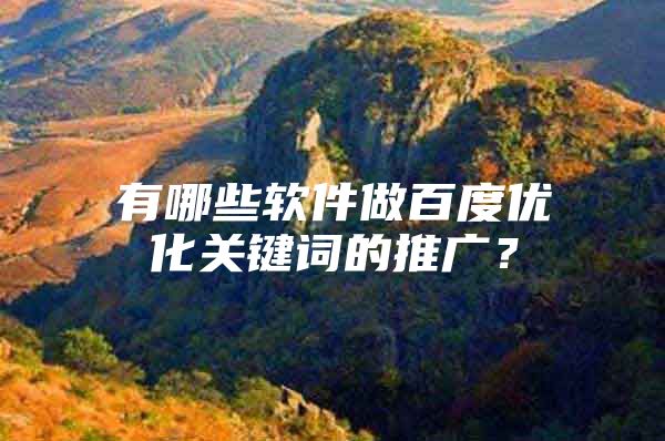 有哪些软件做百度优化关键词的推广？
