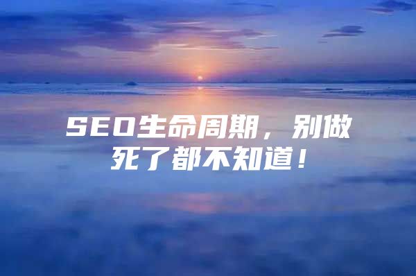 SEO生命周期，别做死了都不知道！