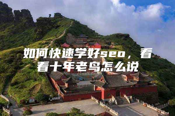 如何快速学好seo，看看十年老鸟怎么说