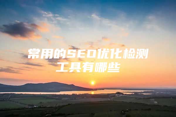 常用的SEO优化检测工具有哪些