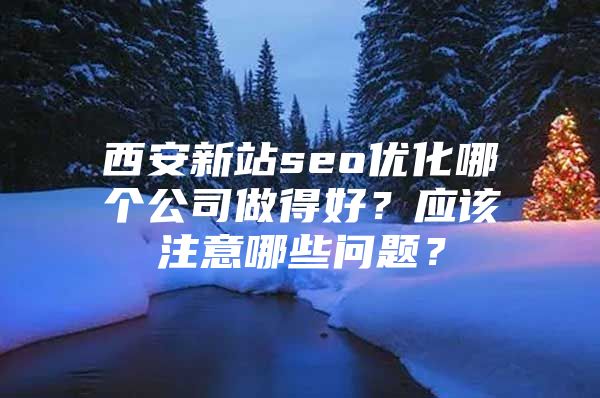 西安新站seo优化哪个公司做得好？应该注意哪些问题？