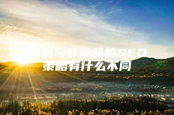标品与非标品的SEO策略有什么不同