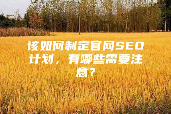 该如何制定官网SEO计划，有哪些需要注意？
