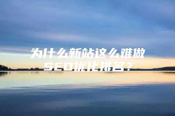 为什么新站这么难做SEO优化排名？
