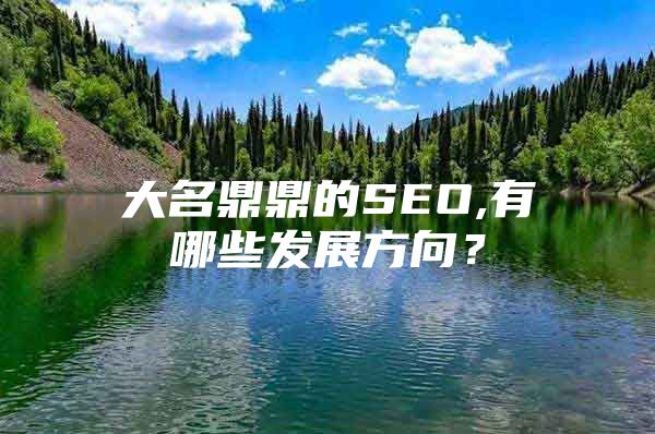大名鼎鼎的SEO,有哪些发展方向？