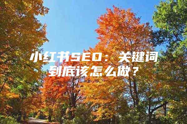 小红书SEO：关键词到底该怎么做？