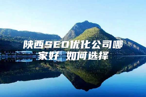 陕西SEO优化公司哪家好 如何选择