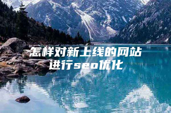 怎样对新上线的网站进行seo优化
