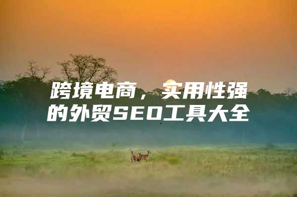 跨境电商，实用性强的外贸SEO工具大全