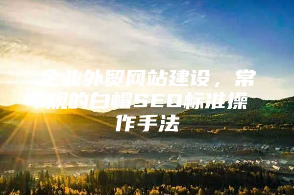 企业外贸网站建设，常规的白帽SEO标准操作手法