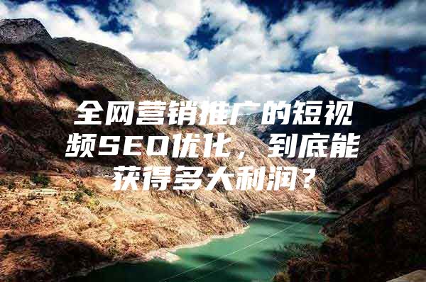 全网营销推广的短视频SEO优化，到底能获得多大利润？