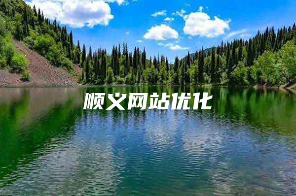 顺义网站优化