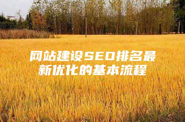 网站建设SEO排名最新优化的基本流程
