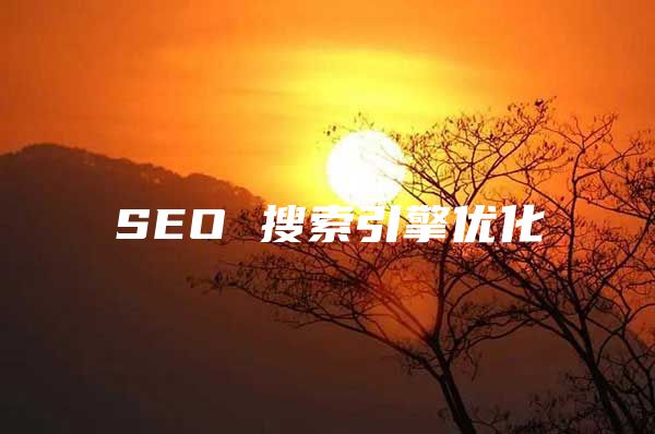 SEO 搜索引擎优化