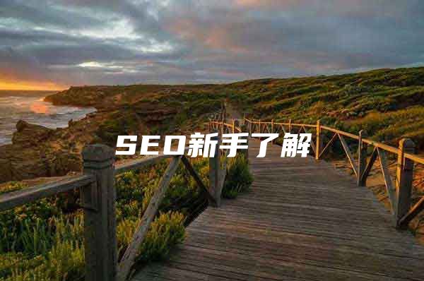 SEO新手了解
