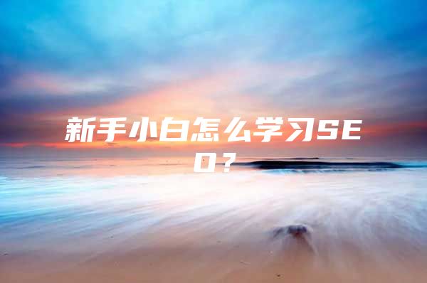 新手小白怎么学习SEO？