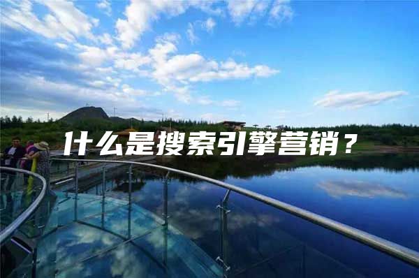 什么是搜索引擎营销？
