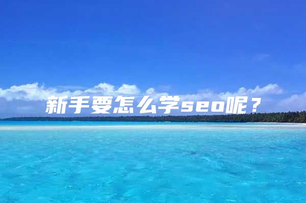 新手要怎么学seo呢？