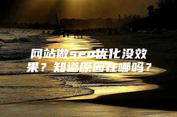 网站做seo优化没效果？知道原因在哪吗？