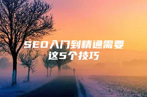 SEO入门到精通需要这5个技巧
