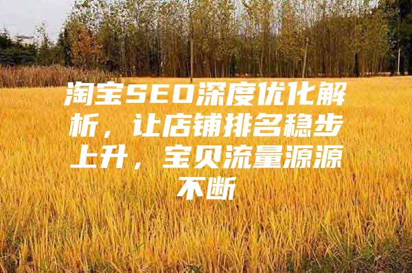 淘宝SEO深度优化解析，让店铺排名稳步上升，宝贝流量源源不断