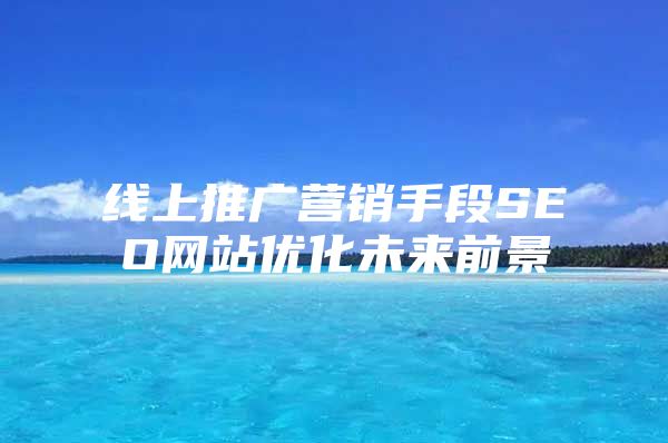 线上推广营销手段SEO网站优化未来前景