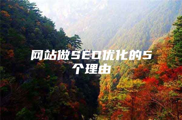 网站做SEO优化的5个理由
