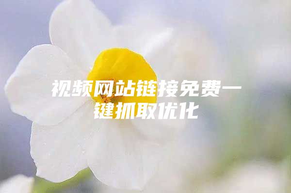 视频网站链接免费一键抓取优化