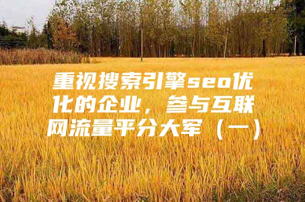 重视搜索引擎seo优化的企业，参与互联网流量平分大军（一）