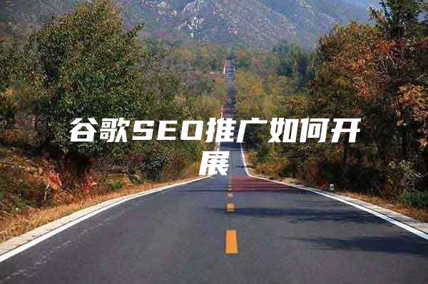 谷歌SEO推广如何开展