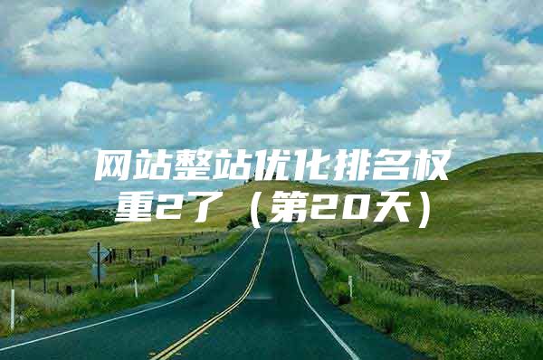 网站整站优化排名权重2了（第20天）
