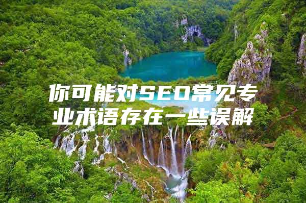 你可能对SEO常见专业术语存在一些误解