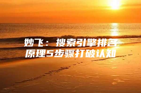妙飞：搜索引擎排名原理5步骤打破认知