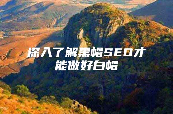 深入了解黑帽SEO才能做好白帽