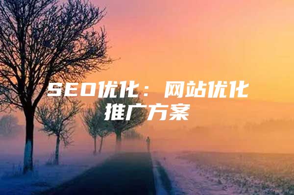 SEO优化：网站优化推广方案