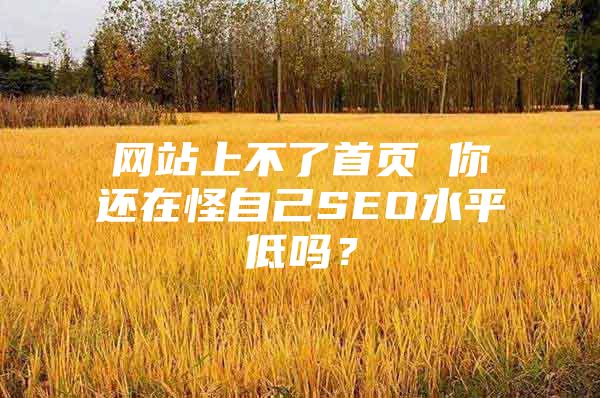 网站上不了首页 你还在怪自己SEO水平低吗？