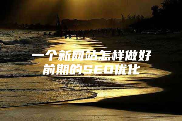 一个新网站怎样做好前期的SEO优化