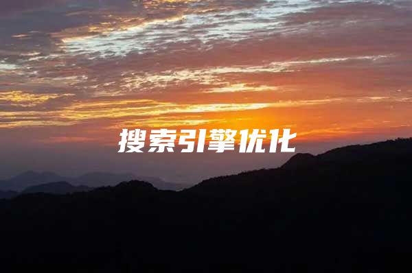 搜索引擎优化